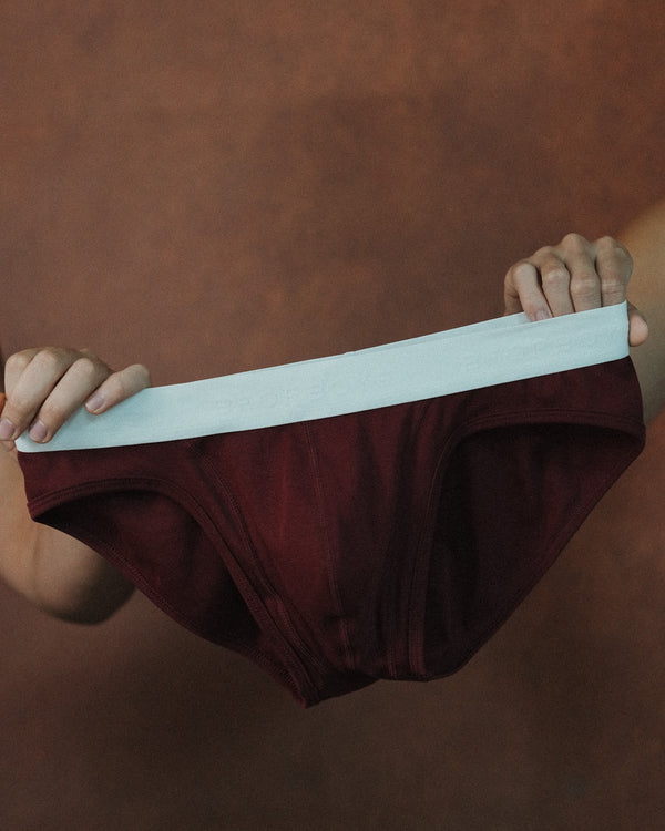 New Briefs- 三角內褲 Maroon at Night